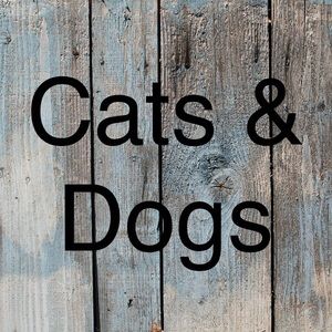 Cat and dog stuff